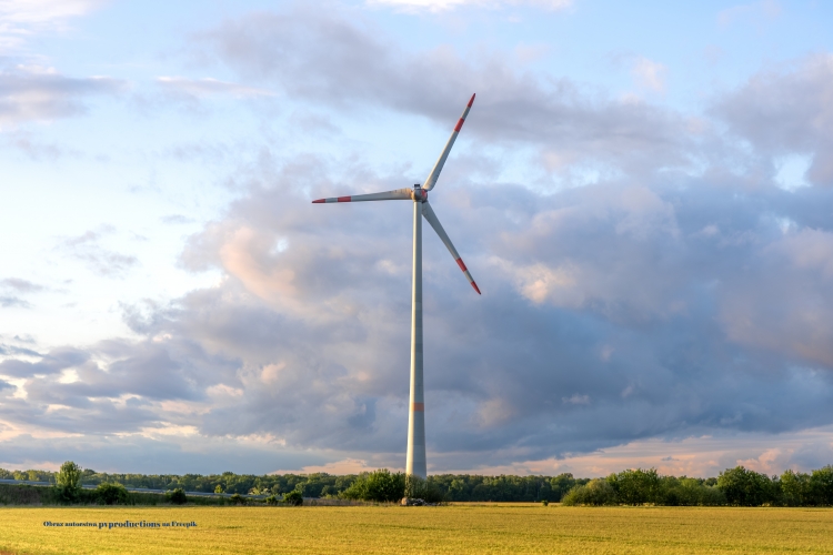 Miniatura MIEJSCOWY PLAN ZAGOSPODAROWANIA PRZESTRZENNEGO (Czernice)