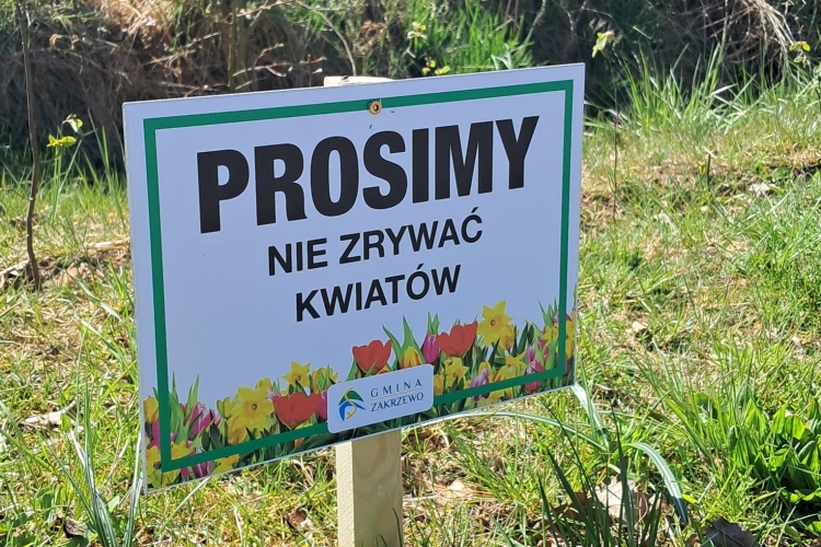 Miniatura Apel - prosimy nie zrywać kwiatów na promenadzie!
