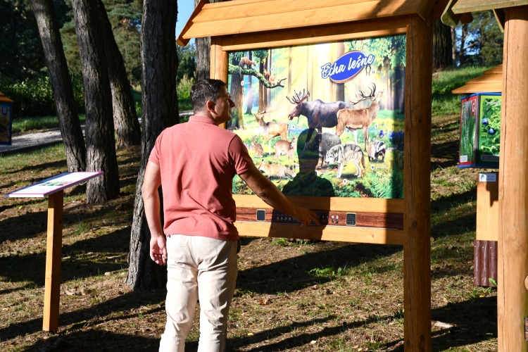 Miniatura Dydaktyczna ścieżka ekologiczna na promenadzie w Zakrzewie